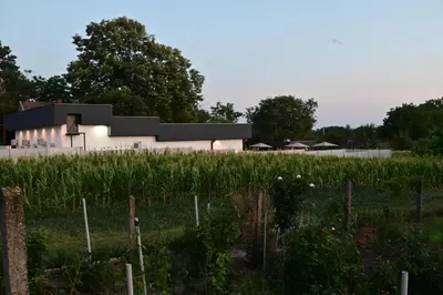 a house in a field of tall grass at Elin House in Inđija