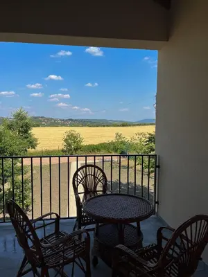 a patio with a table and chairs and a view of a field at Casa Lisović in Lisović