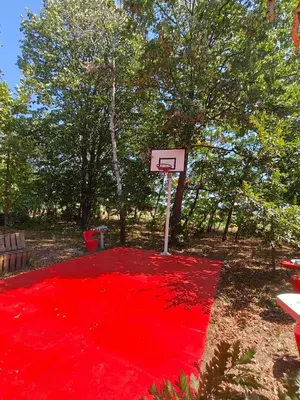 a basketball hoop with a red blanket and a red carpet at Casa Lisović in Lisović
