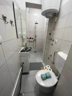 a small bathroom with a toilet and a shower at Miran Stan u Srcu Grada in Belgrade
