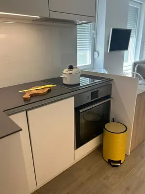 a kitchen with a stove and a pot on the counter at Chic City Studio in Belgrade