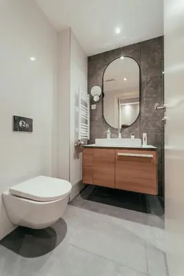 a bathroom with a toilet and a mirror at BW Elite Natureline in Belgrade