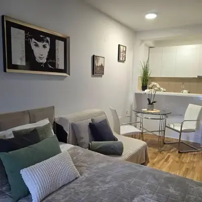 Slavia center apartment