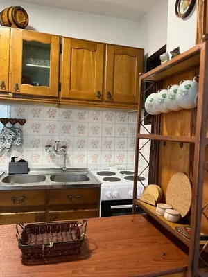 a kitchen with a sink and a stove top oven at Loza House in Arandjelovac