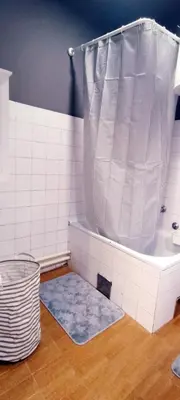a bathroom with a shower and a blue rug at Resava Apartment in Belgrade