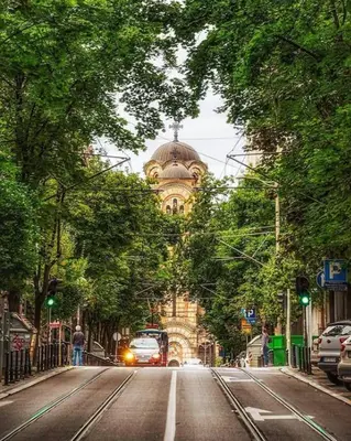a building on a city street with trees and cars at Resava Apartment in Belgrade