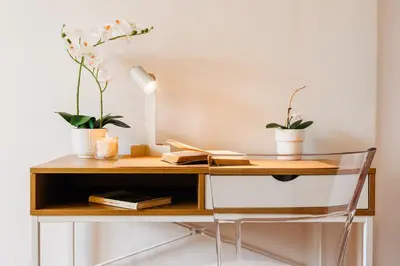 a desk with two potted plants on top of it at Sunwave with Terrace 280 Mbps Old Town Renovated in Belgrade