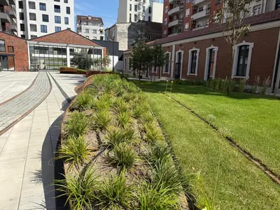 a row of plants in a yard next to a building at Landmark Premium Lux Apartment in Želenička Stanica Beograd Sava