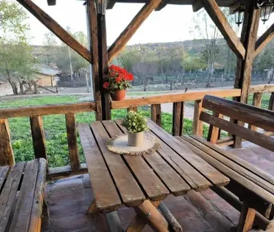 a wooden picnic table with a potted plant on a porch at Apartmani Etno Selo Americ