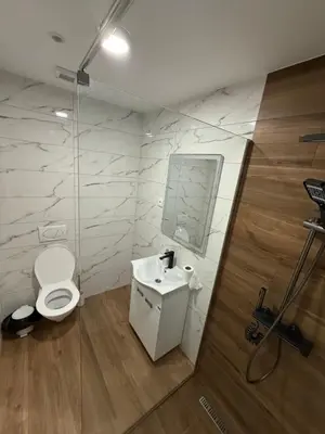 a bathroom with a toilet and a sink at Carigradski Drum Residence in Radinac
