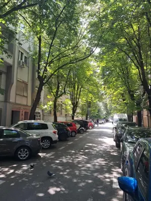 a tree lined street with cars parked on the side of the road at Belgrade Apartment Dorcol in Belgrade