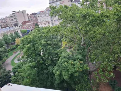 a large tree in the middle of a city at Park Oasis Centerpoint Residence in Belgrade