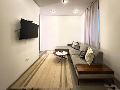 a living room with a couch and a tv at City Center Apartment in Belgrade
