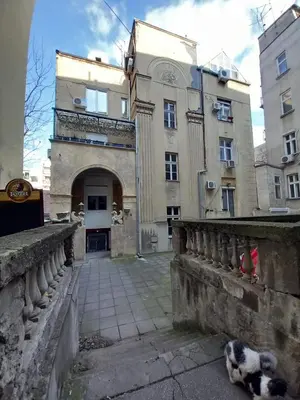 a cat laying on the ground in front of a building at Lola in Belgrade