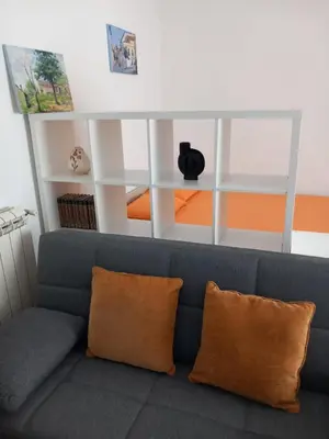 a living room with a gray couch with two pillows at Lola in Belgrade