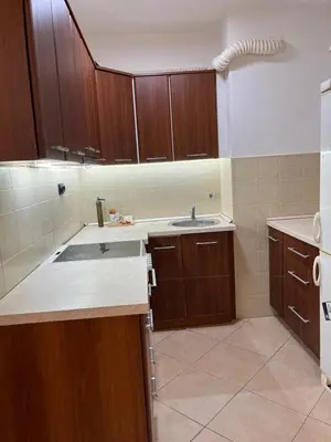 a kitchen with wooden cabinets and a sink at Orientale in Belgrade