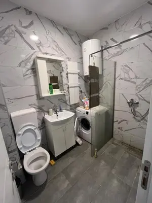a bathroom with a toilet and a sink at Mikos apartmani in Belgrade