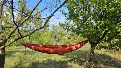 a hammock hanging between two trees in a field at Beška Sauna View in Beška