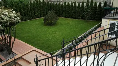 an external view of a garden with a lawn at Fantastic Belgrade Nights II in Belgrade