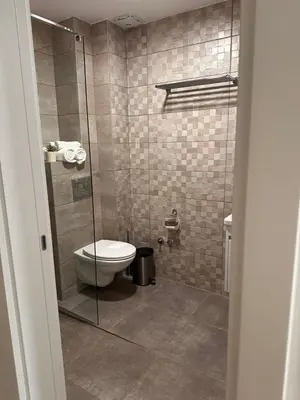 a bathroom with a toilet and a glass shower at Vila Aleksandar in Orašac