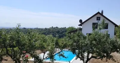 a house with a swimming pool next to trees at Vila Terasa in Čortanovci
