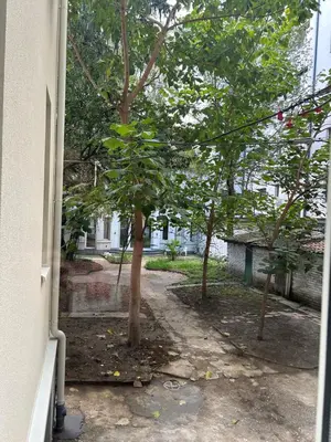 a view of a tree from a window at Vračar Elegance Apartment in Belgrade