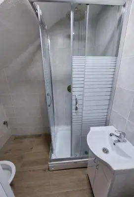 a bathroom with a shower and a sink and a toilet at Radojkovic Apartman in Belgrade