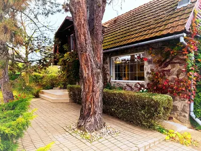 a house with a tree in front of it at Kings Hill - Family Retreat in Sremski Karlovci