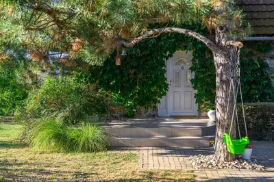 a tree with a swing in front of a door at Kings Hill - Family Retreat in Sremski Karlovci