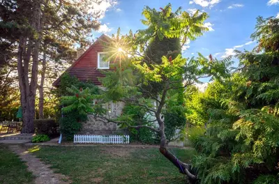 a house with a tree in the yard at Kings Hill - Family Retreat in Sremski Karlovci