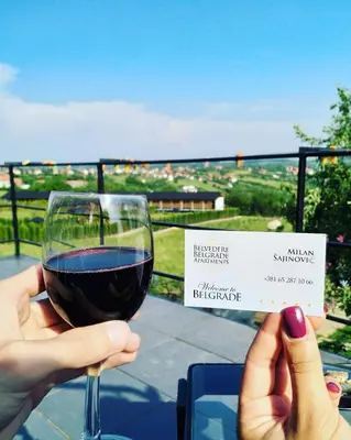 a person holding up a glass of wine at Belgrade on water view apartment - City center in Belgrade