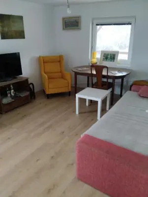 a living room with a bed and a table and a chair at Summer house in Belgrade in Slanci