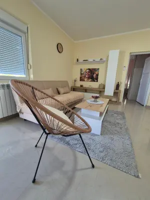 a living room with a rattan chair and a couch at Rio Apartmani Ub in Ub