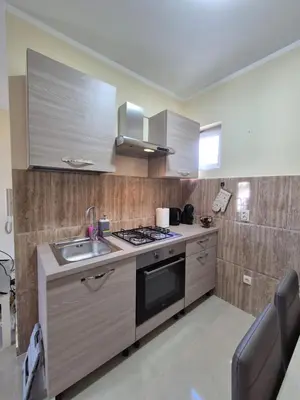 a kitchen with a sink and a stove top oven at Rio Apartmani Ub 2 in Ub