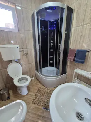 a bathroom with a shower and a toilet and a sink at Rio Apartmani Ub 2 in Ub