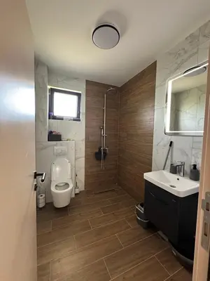 a bathroom with a toilet and a sink and a shower at Vila Remeta in Velika Remeta