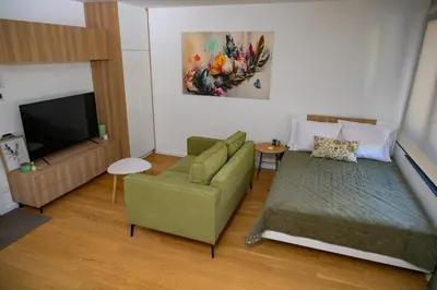 a living room with a couch and a tv at GueZt Dobanovačka 93A in Belgrade