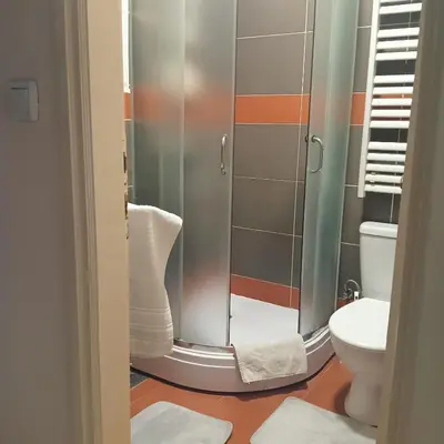 a bathroom with a shower and a toilet at Vila Eni in Smederevo