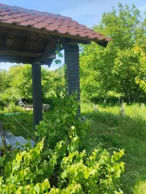 a gazebo with a roof on top of a bush at Sunny Villa in Belgrade