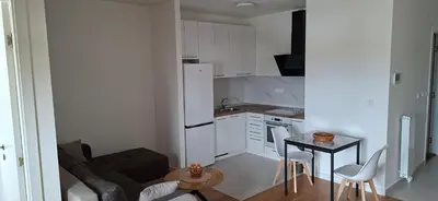 a kitchen with a couch and a table in a room at Park Vila apartment in Belgrade