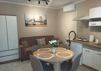 a kitchen and living room with a table and a couch at Prenoćište Lana 3 in Novi Banovci