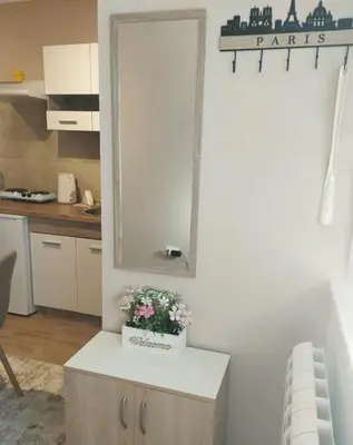 a kitchen with a mirror and a table with flowers on it at Prenoćište Lana 3 in Novi Banovci