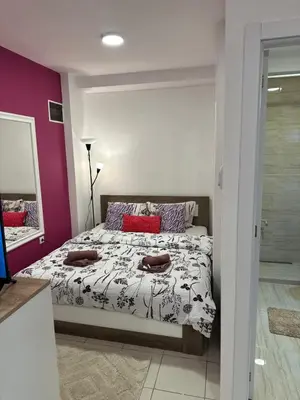 a bedroom with a bed and a mirror at Cozy studio in Belgrade in Belgrade