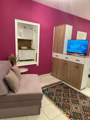a living room with a couch and a purple wall at Cozy studio in Belgrade in Belgrade