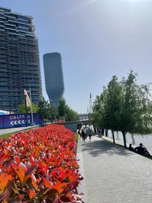 a row of red flowers on a sidewalk in a city at Beldorado Apartments - Belgrade Waterfront Azure Studio in Belgrade