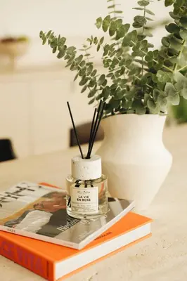 a book on a table with a plant and a vase at Like a therapy VILLA in Krčedin