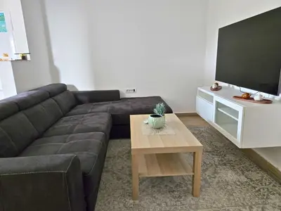 a living room with a couch and a tv at Airport 2BR Suite Filip in Beograd