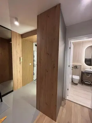 a bathroom with a wooden door leading to a toilet at Belgrade Nest in Belgrade