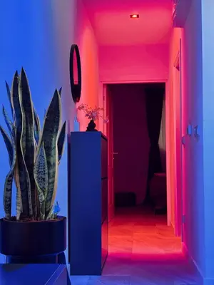 a hallway with a plant and a pink and blue light at Honey apartments in Ledine