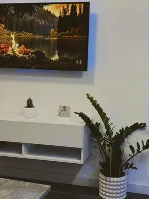 a painting hanging on a wall with a potted plant at Honey apartments in Ledine